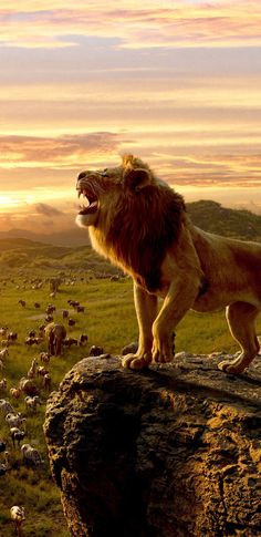 the lion king 2 full movie free 123